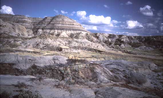 Iceland__Montana_.jpg