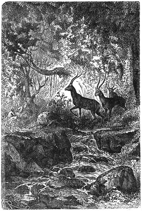 De Antilopenjacht. Blz. 69.